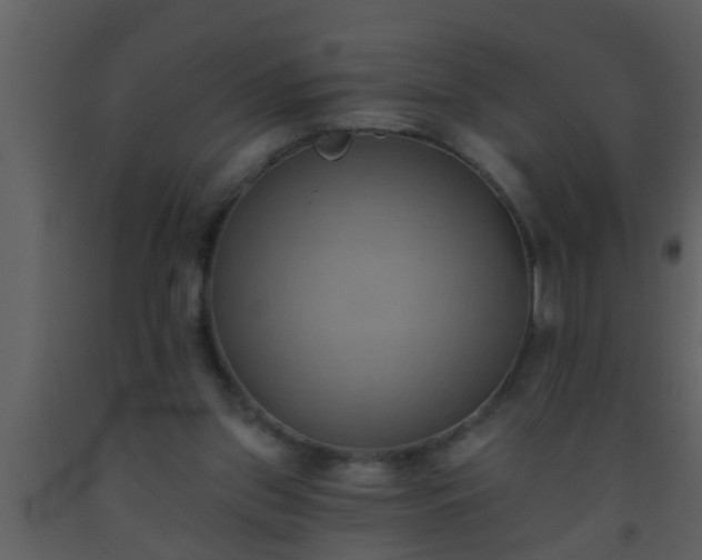 X0000093520157200710191339