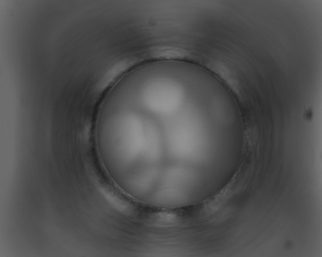 X0000093520159200710191339