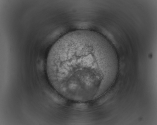 X0000093520161200710191340