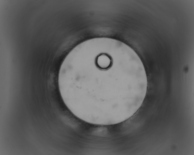 X0000093520162200710191340