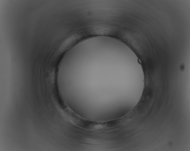 X0000093520163200710191340