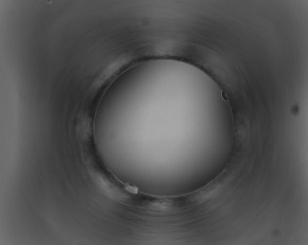 X0000093520164200710191340