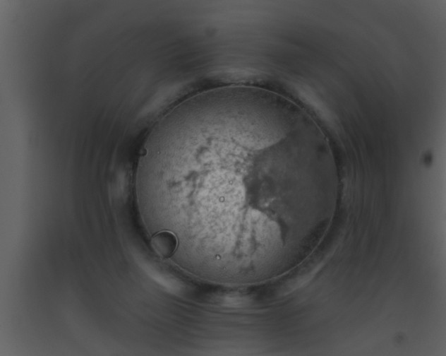 X0000093520165200710191340