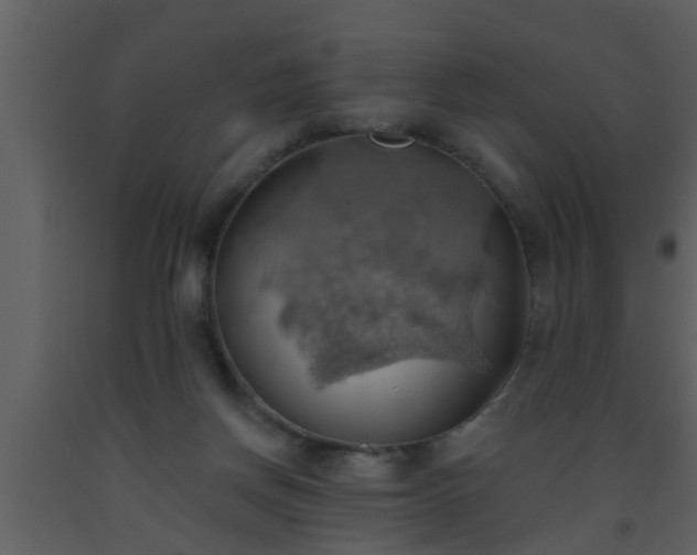 X0000093520166200710191340