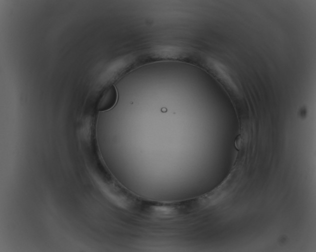 X0000093520167200710191340