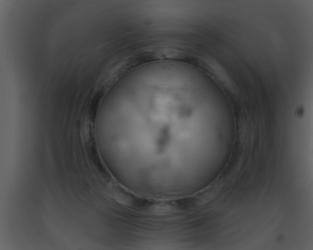 X0000093520169200710191340