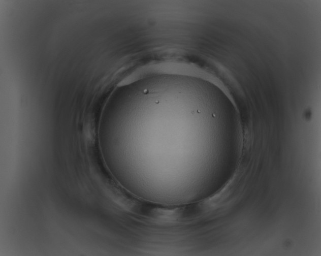 X0000093520170200710191340