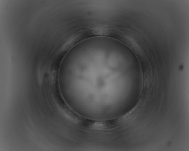 X0000093520171200710191340