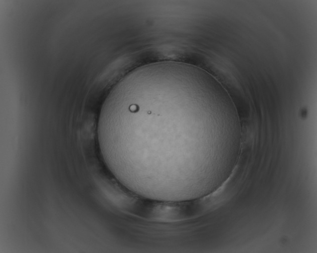 X0000093520174200710191340