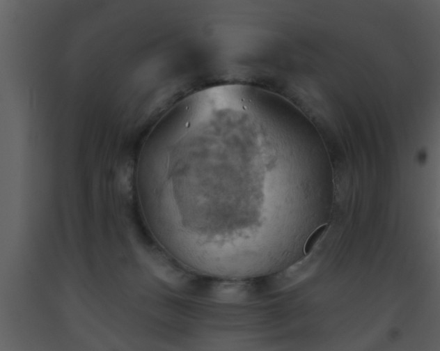 X0000093520175200710191340