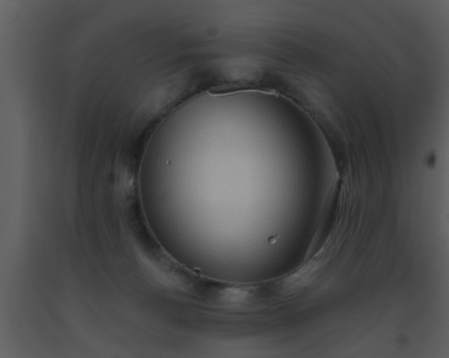 X0000093520176200710191340