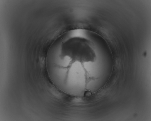 X0000093520177200710191340