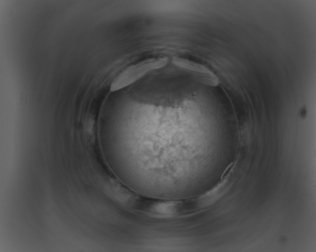 X0000093520178200710191340