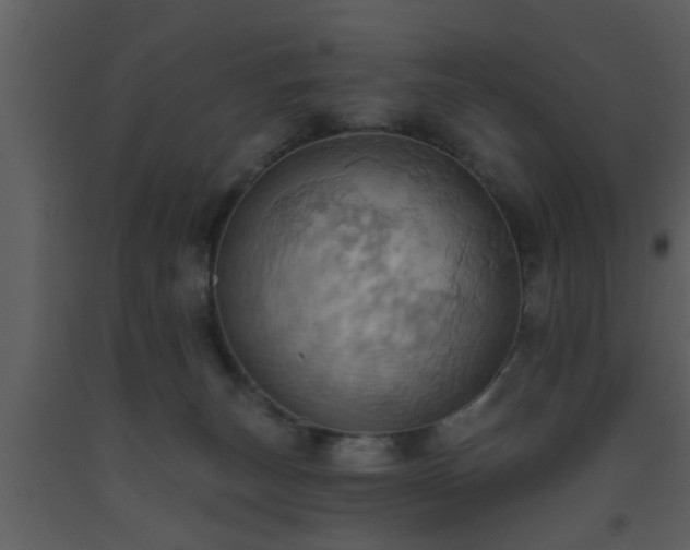 X0000093520179200710191340