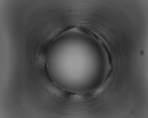 X0000093520180200710191340