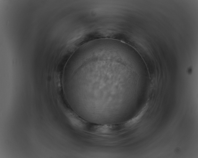 X0000093520182200710191340