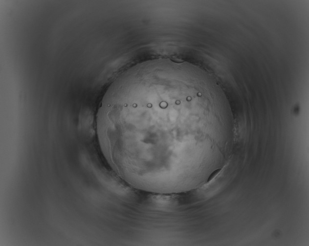 X0000093520187200710191340