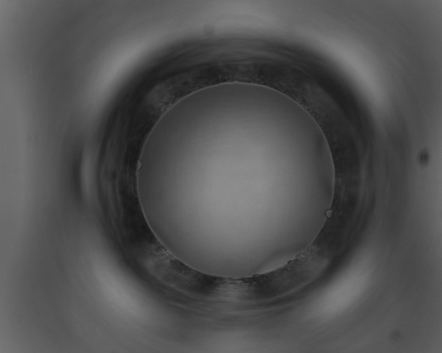 X0000093520189200710191340