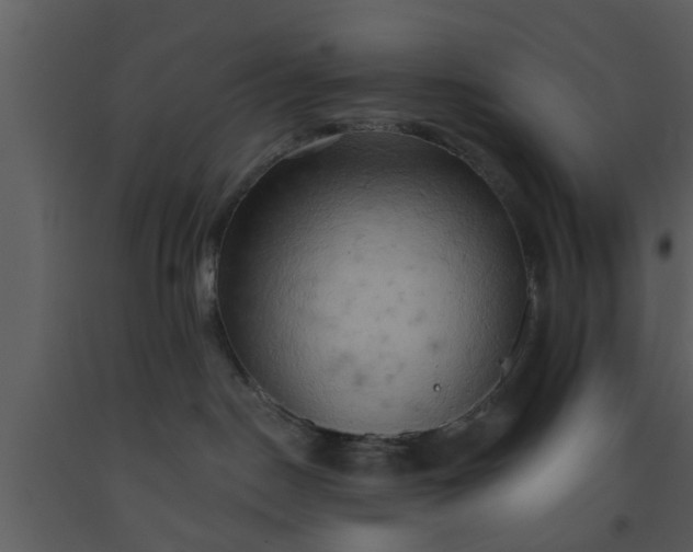 X0000093520190200710191340