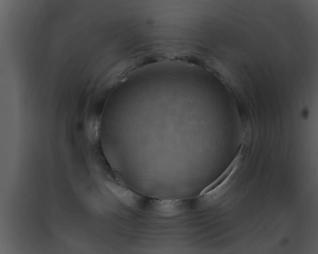 X0000093520191200710191340