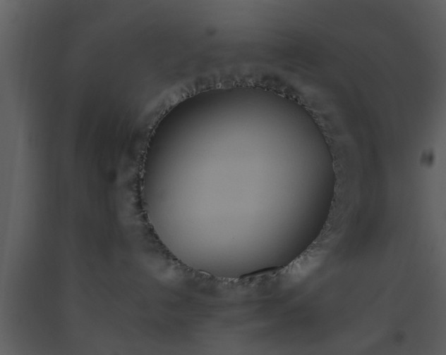 X0000093520192200710191340