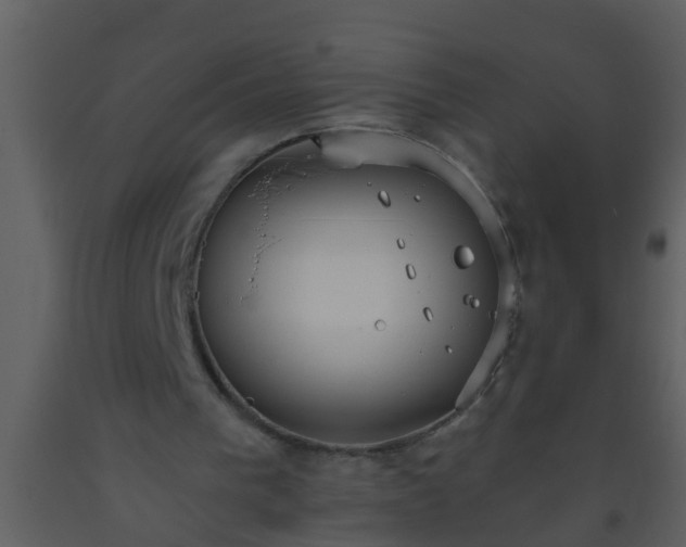 X0000093520193200710191339