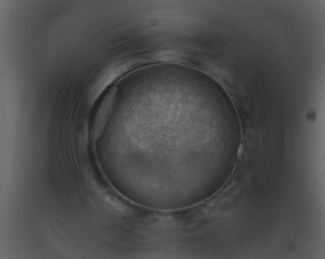 X0000093520194200710191339