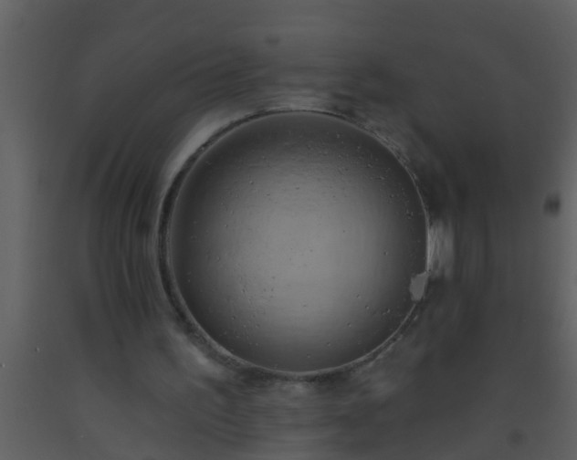 X0000093520195200710191339