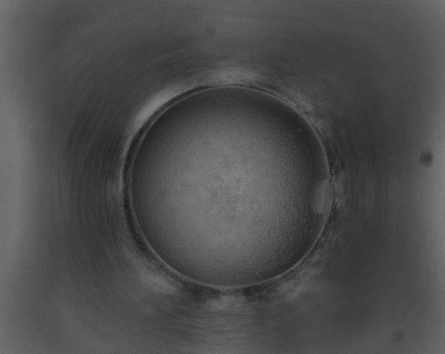 X0000093520196200710191339