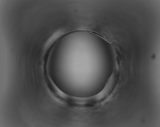 X0000093520197200710191339