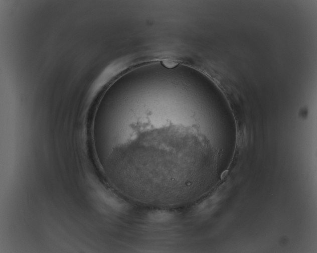 X0000093520198200710191339