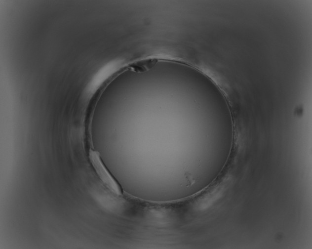 X0000093520199200710191339