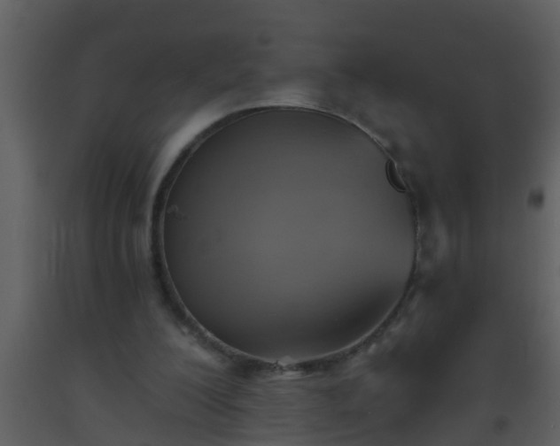 X0000093520200200710191339