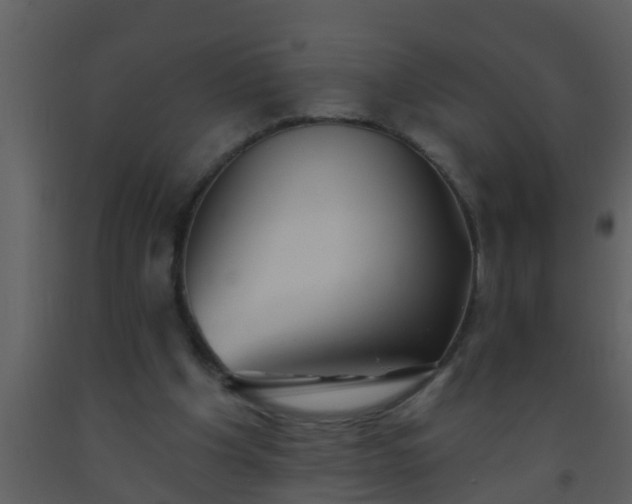 X0000093520201200710191339