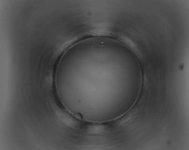 X0000093520202200710191339