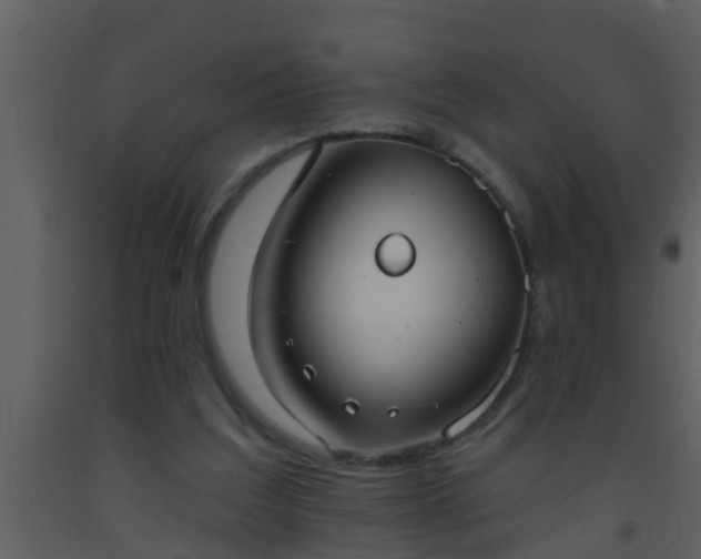 X0000093520203200710191339