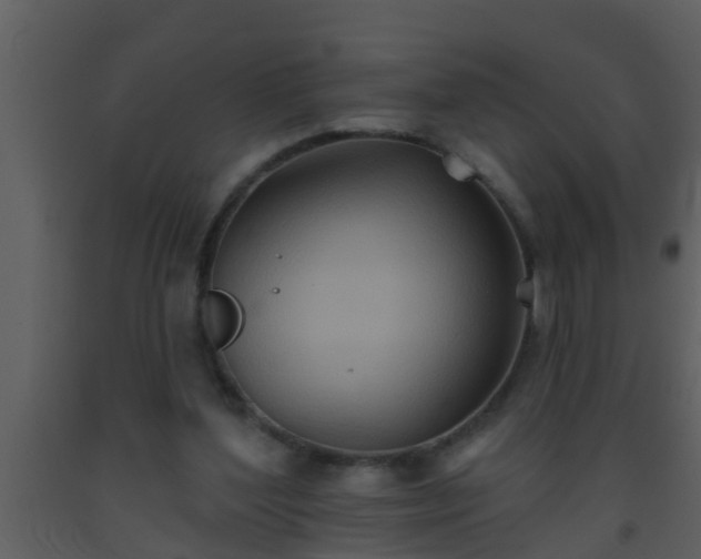 X0000093520204200710191339