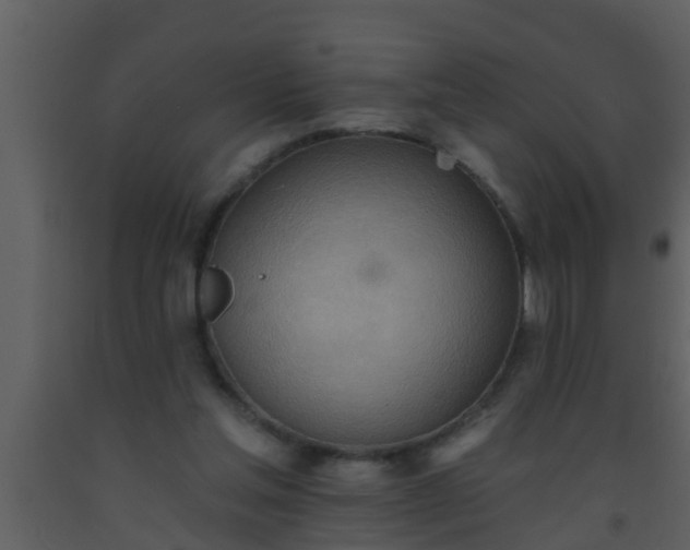 X0000093520205200710191339