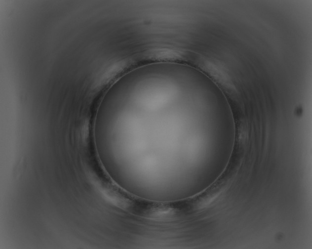 X0000093520206200710191339