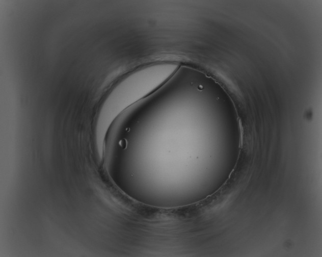 X0000093520207200710191339