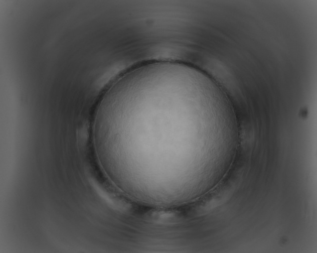 X0000093520208200710191339