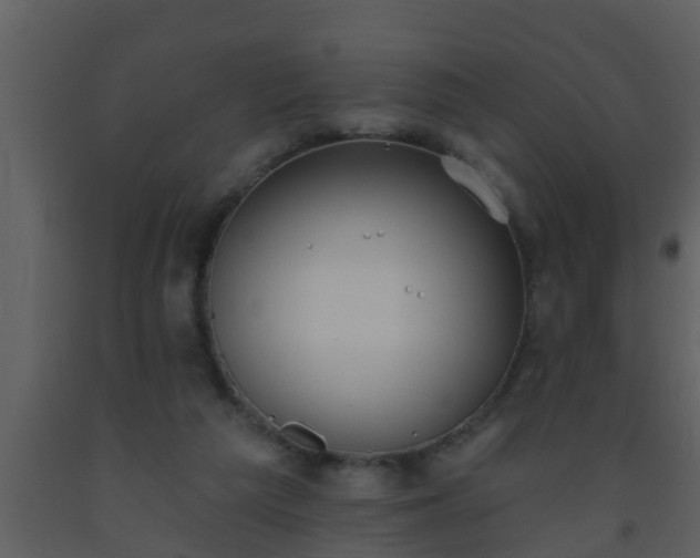 X0000093520209200710191339