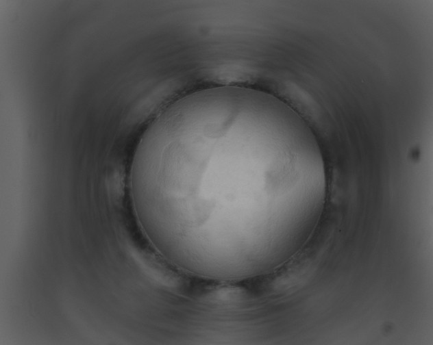 X0000093520210200710191339