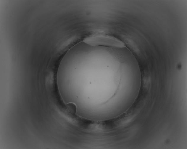 X0000093520211200710191339