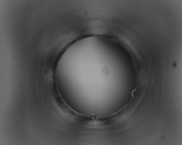 X0000093520212200710191339