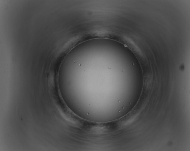 X0000093520213200710191339