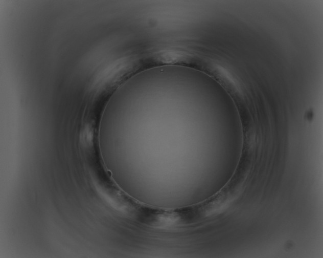 X0000093520214200710191339