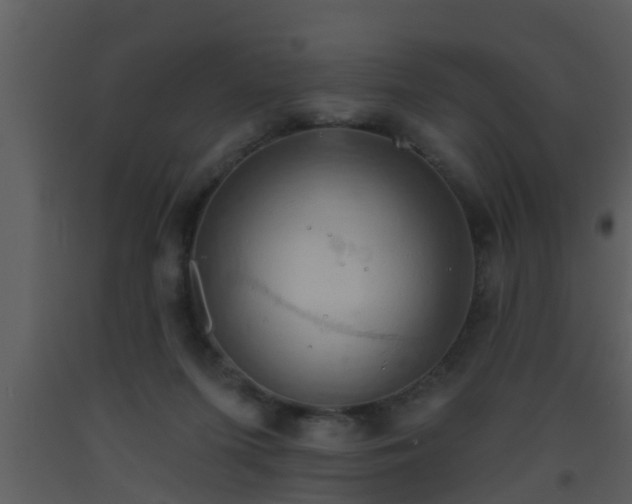 X0000093520215200710191339