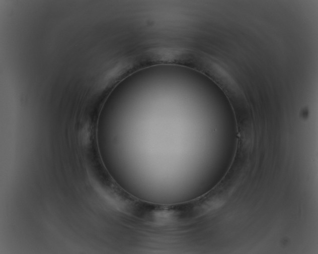 X0000093520216200710191339