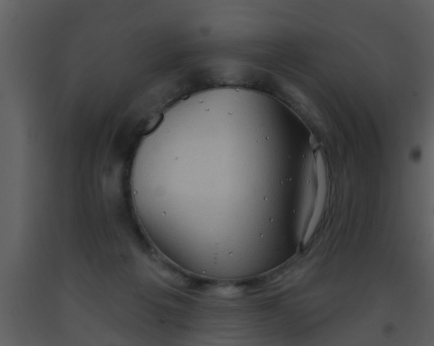 X0000093520217200710191339